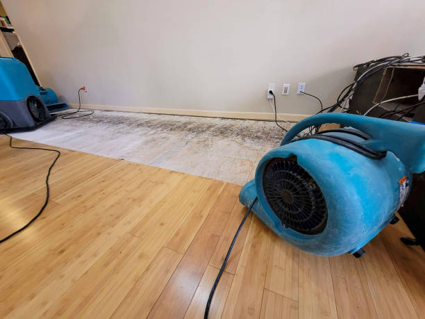Professional Water Damage Repair technician working in Grove, OK